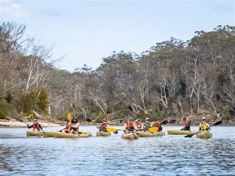 Aboriginal Culture Tour Kayaking Itinerary Nsw Holidays Accommodation Things To Do Attractions And Events Aboriginal Culture Tour Kayaking Itinerary Nsw Holidays Accommodation Things To Do Attractions And Events