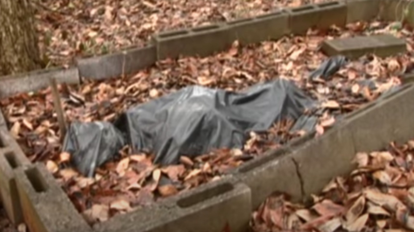 Body Farm In Knoxville Tennessee