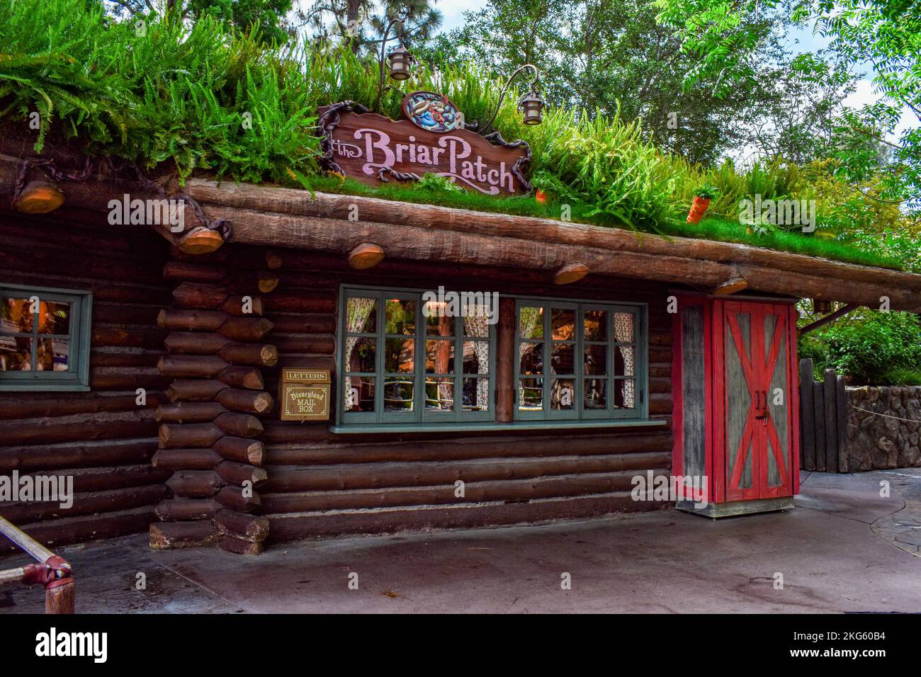 Briar Patch Hi Res Stock Photography And Images Alamy Briar Patch Hi Res Stock Photography And Images Alamy
