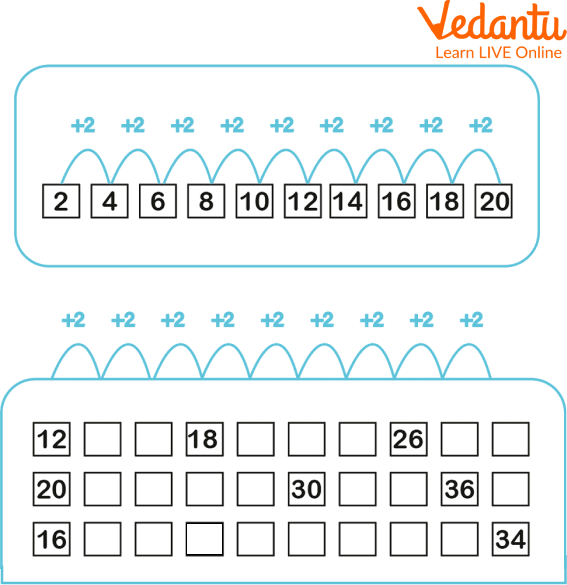Counting In 2S Missing Numbers Number Line Learn And Solve Questions Counting In 2S Missing Numbers Number Line Learn And Solve Questions