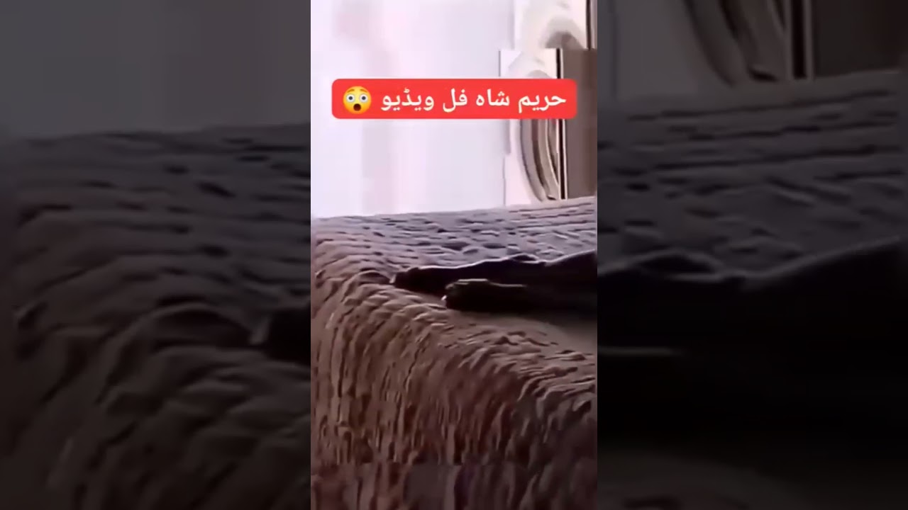 Hareem Shah Admits Hareem Shah Leaked Video Such Digital Youtube Hareem Shah Admits Hareem Shah Leaked Video Such Digital Youtube