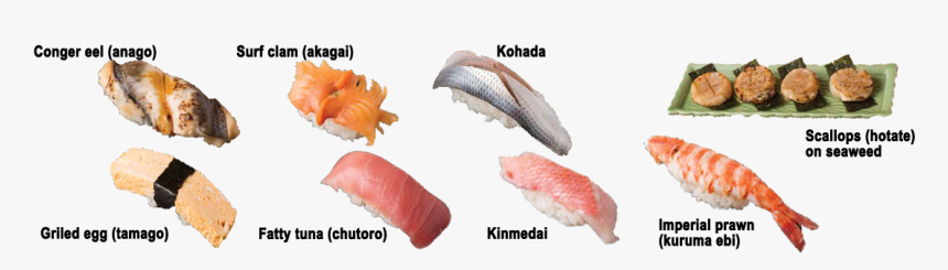 Kinds Of Sushi Fish