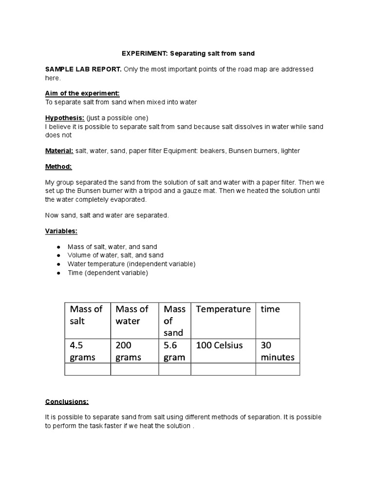 Lab Report Example