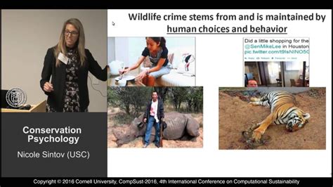 Nicole Sintov Conservation Psychology Youtube Nicole Sintov Conservation Psychology Youtube