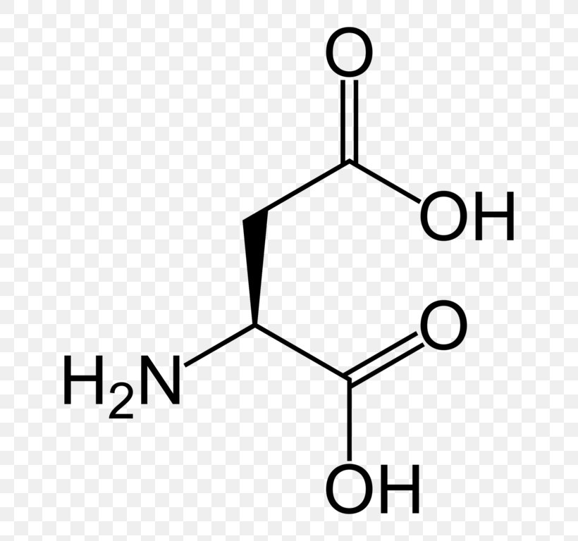 Nucleic Acid Monomer Basics