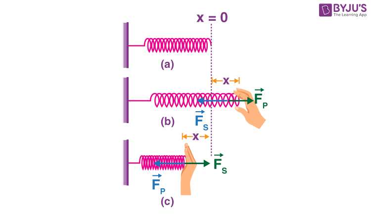Spring Potential Energy Explained