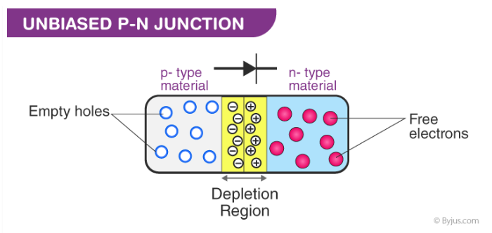 Region Of The Body